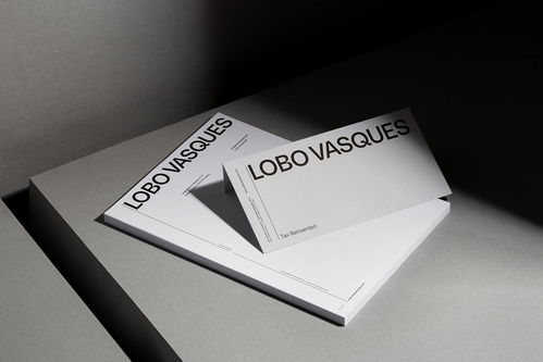 Lobo Vasques 精品律师事务所品牌形象设计